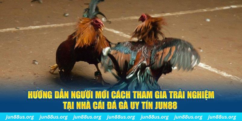 dagasv388 CQ9 Điện Tử