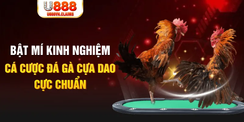dagasv388 tỷ lệ cá cược châu á là gì