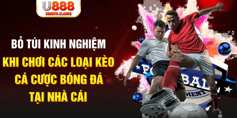 dagasv388 Tài Xỉu