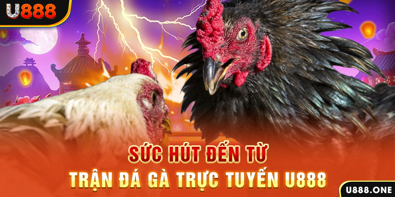 dagasv388 nổ hũ b29 là gì