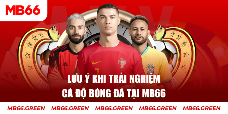 dagasv388 cá cược là gì