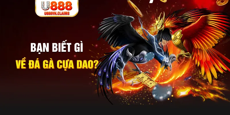 dagasv388 nổ hủ là gì