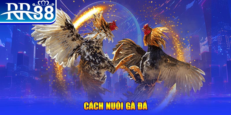 dagasv388 xổ số an giang