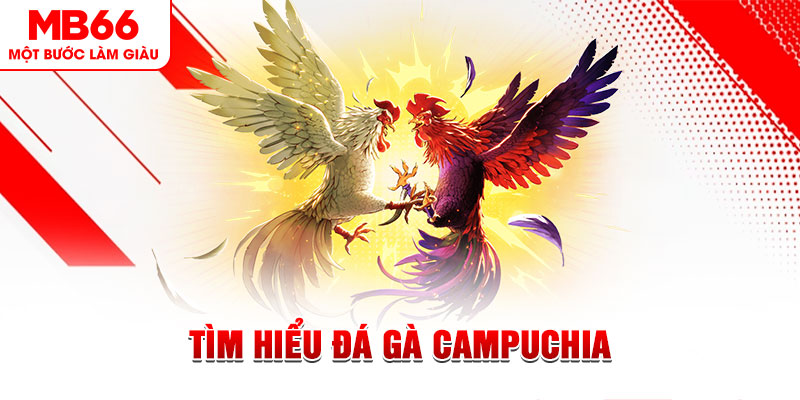 dagasv388 đá gà trực tiếp