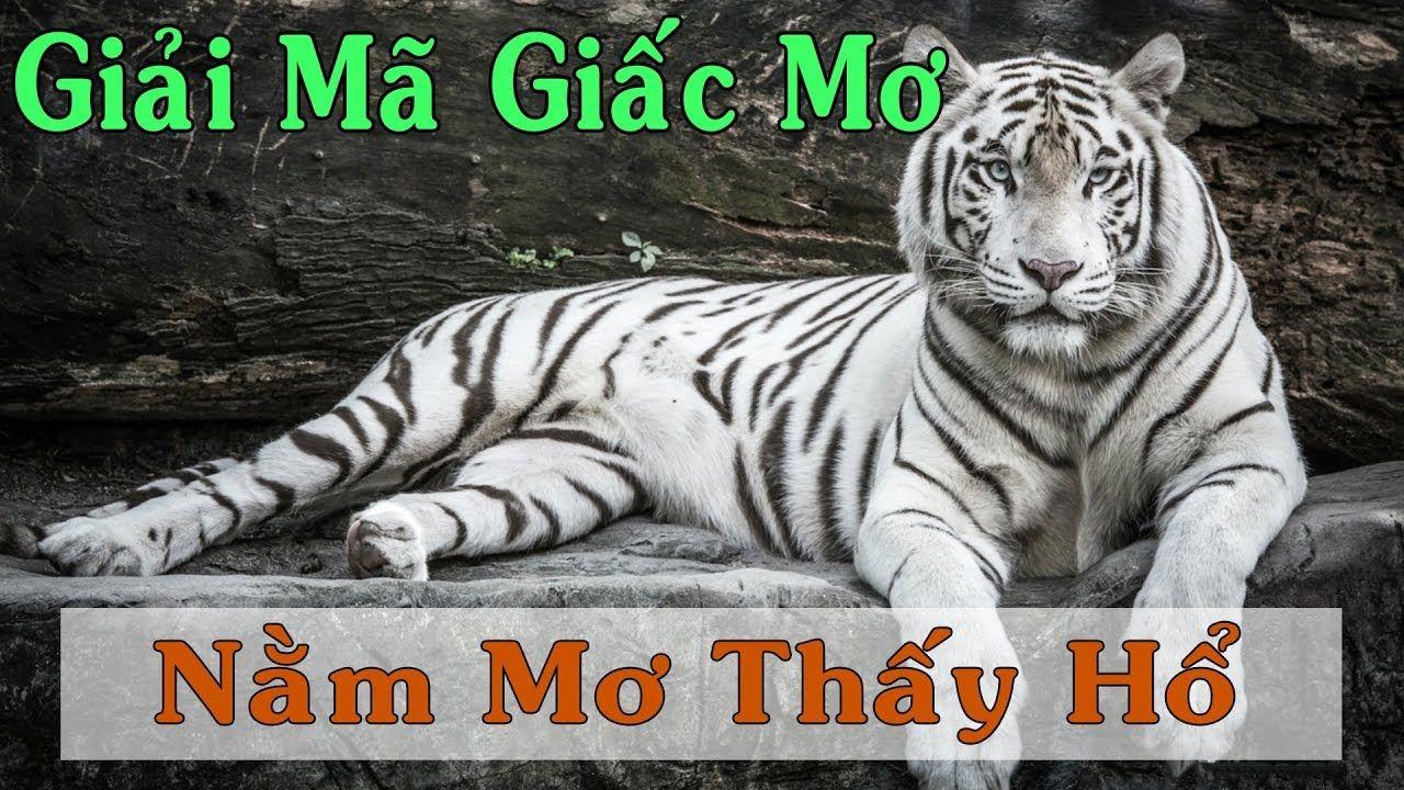 dagasv388 xổ số 3 miền