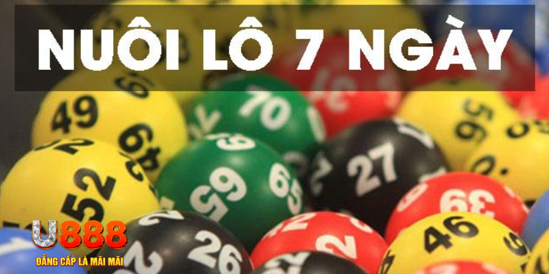 dagasv388 slot là j