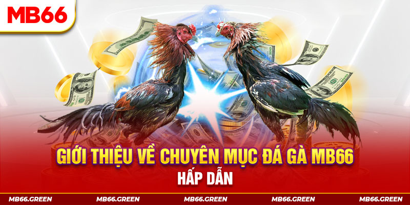 dagasv388 đăng nhập sòng bạc đổi thưởng