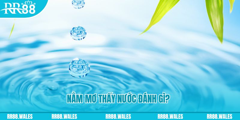 dagasv388 TP Bắn cá