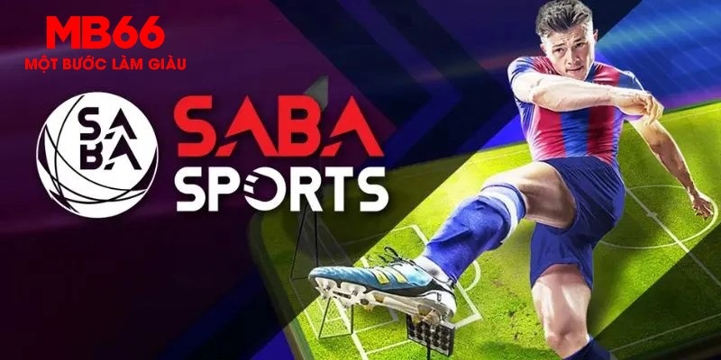 dagasv388 gà chọi c1 thomo