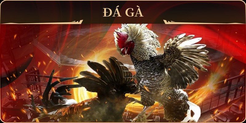 dagasv388 xổ số miền nam thứ hai
