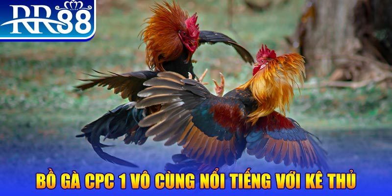 dagasv388 game máy bay nổ hũ