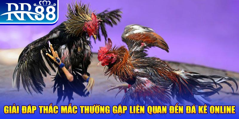 dagasv388 slot machine là gì