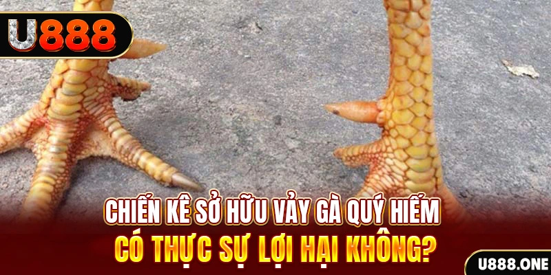 dagasv388 nohu .mx nổ hủ là gì