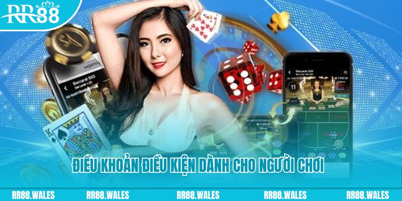 dagasv388 casino gồm những gì
