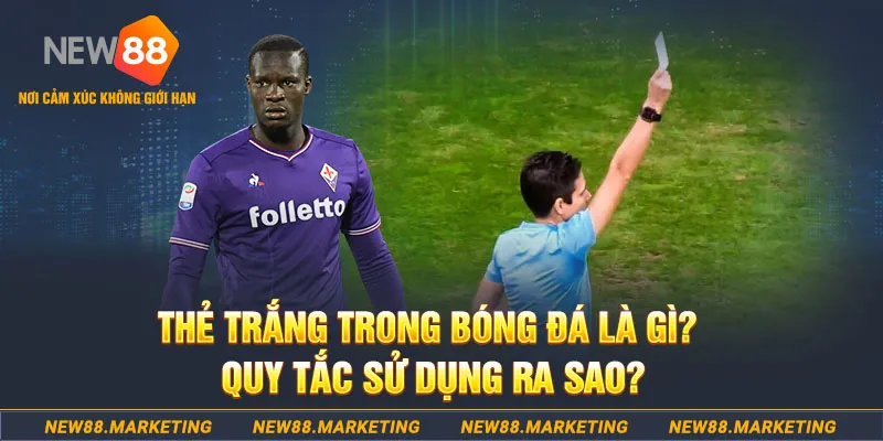 dagasv388 gà chọi mộc hóa