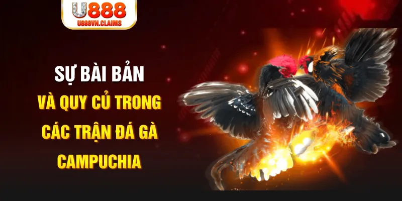 dagasv388 YGR Điện Tử