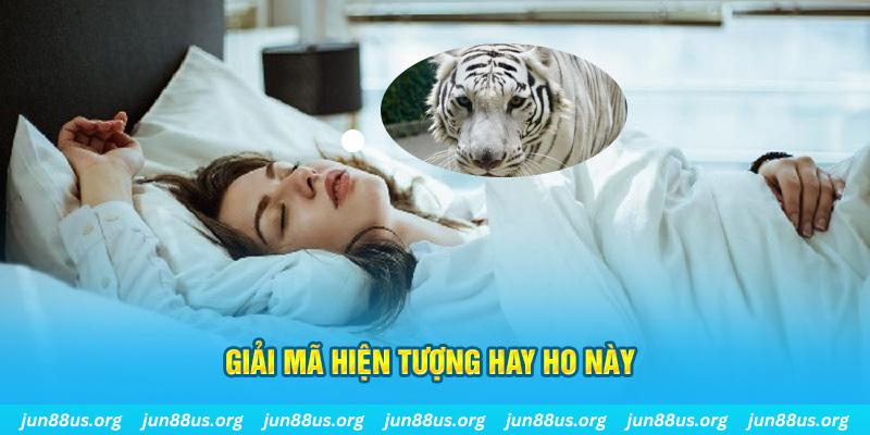 dagasv388 đăng nhập nổ hũ uy tín