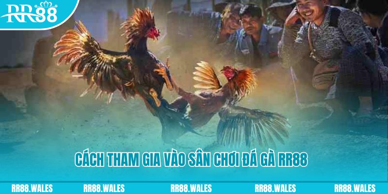 dagasv388 chơi nổ hũ kiêng kỵ gì