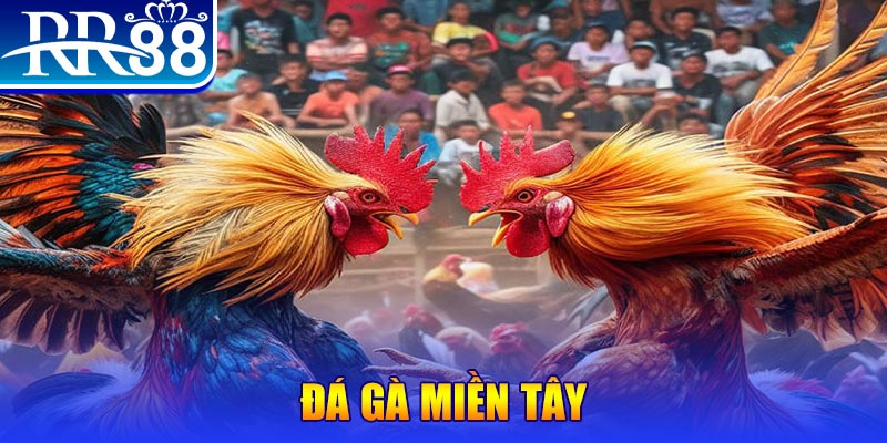 dagasv388 đăng nhập nổ hũ