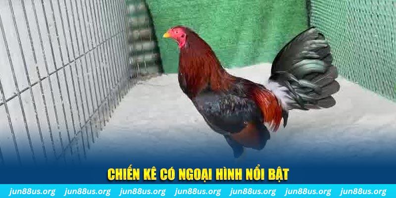 dagasv388 chạy quảng cáo cho game bài bị phạt như thế nào