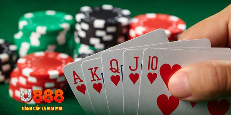 dagasv388 đá gà trực tiếp thomo 67