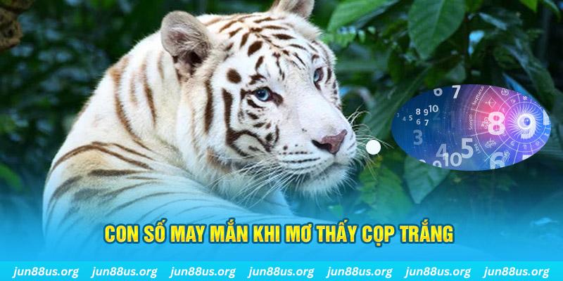 dagasv388 đá gà trực tiếp 88